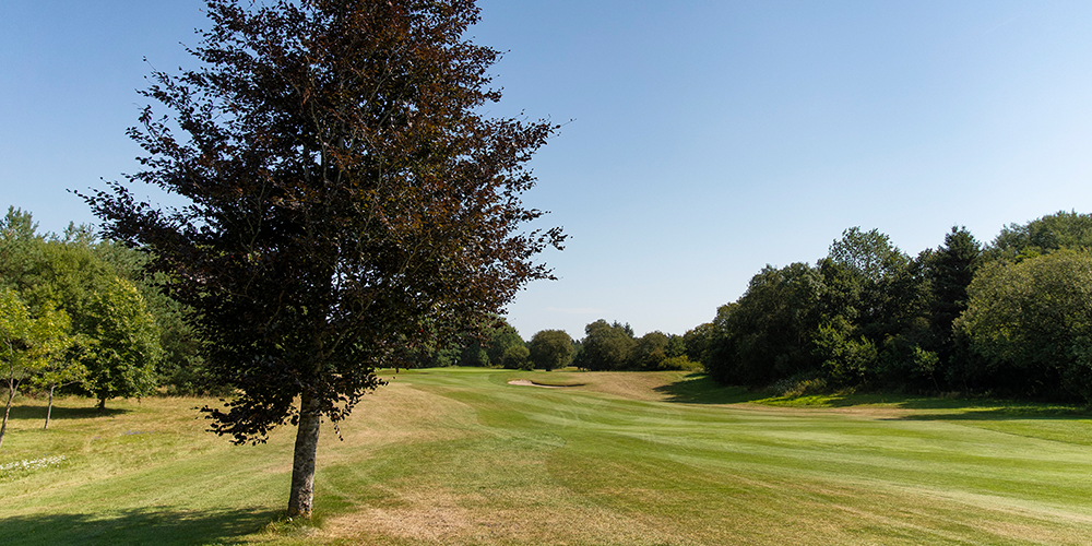 blodbøg golfbane
